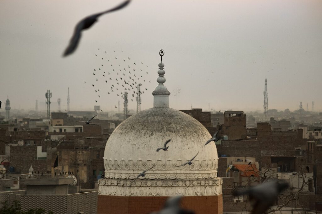 https://pixabay.com/de/photos/v%C3%B6gel-religion-islam-5407779/ edientyp JPG Auflösung 5763 x 3842 Veröffentlichungsdatum 16. Juli 2020