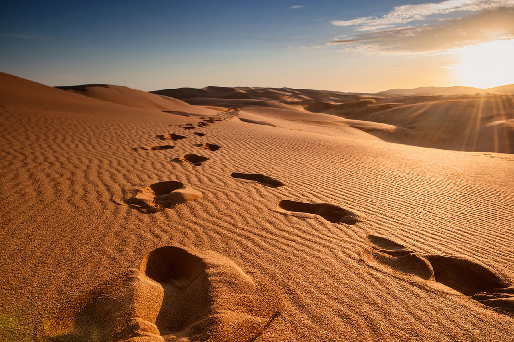 KI generiertes Themenbild