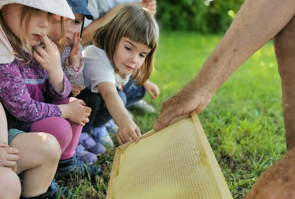 Was macht eigentlich eine Honigbiene? Foto: Brigitte Wenk, Wolfbuschkindergarten