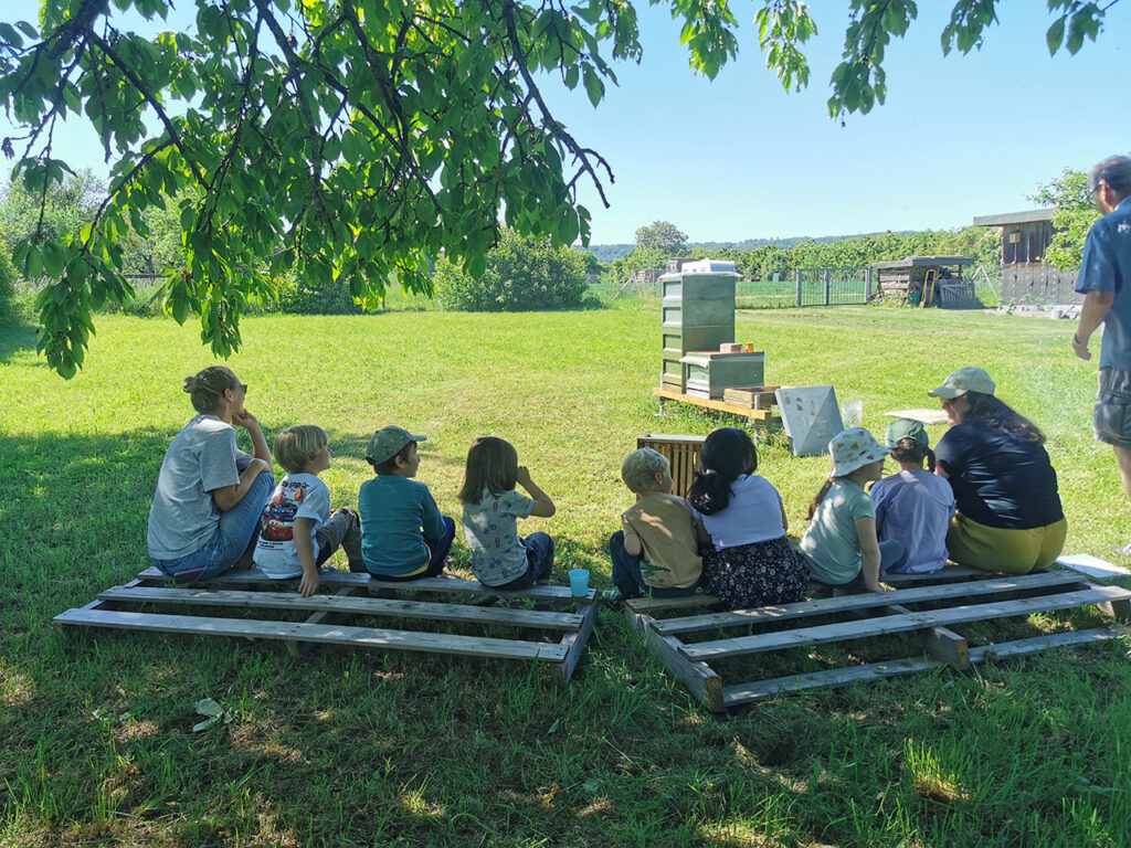 Was macht eigentlich eine Honigbiene? Foto: Brigitte Wenk, Wolfbuschkindergarten