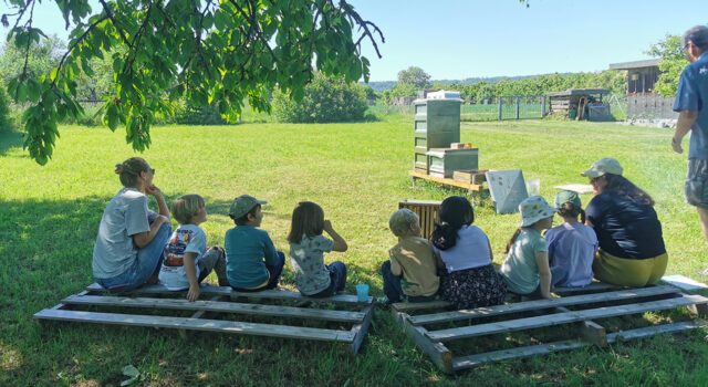 Was macht eigentlich eine Honigbiene? Foto: Brigitte Wenk, Wolfbuschkindergarten
