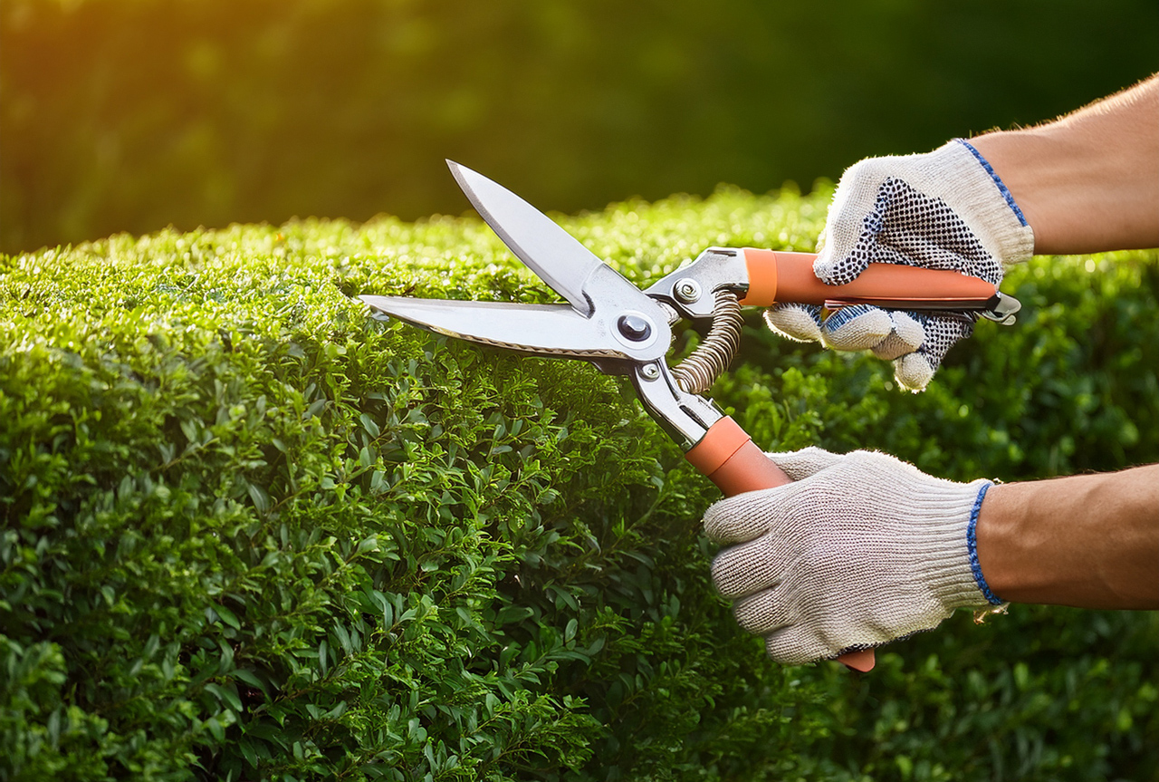 Gartenschneideaktion rund um das Bonhoeffer-Gemeindezentrum